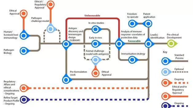 MRC Vaccine Discovery Routemap