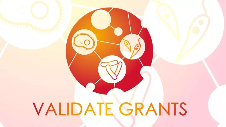VALIDATE Grants