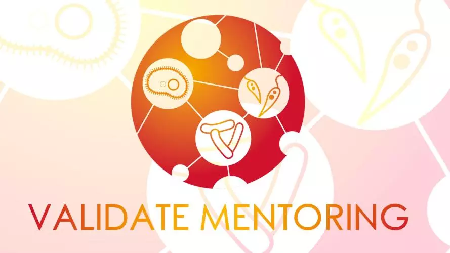 VALIDATE Mentoring