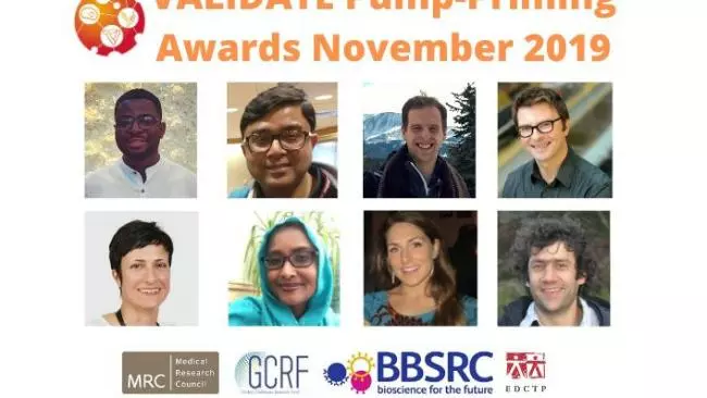 VALIDATE Pump-Priming Awards November 2019