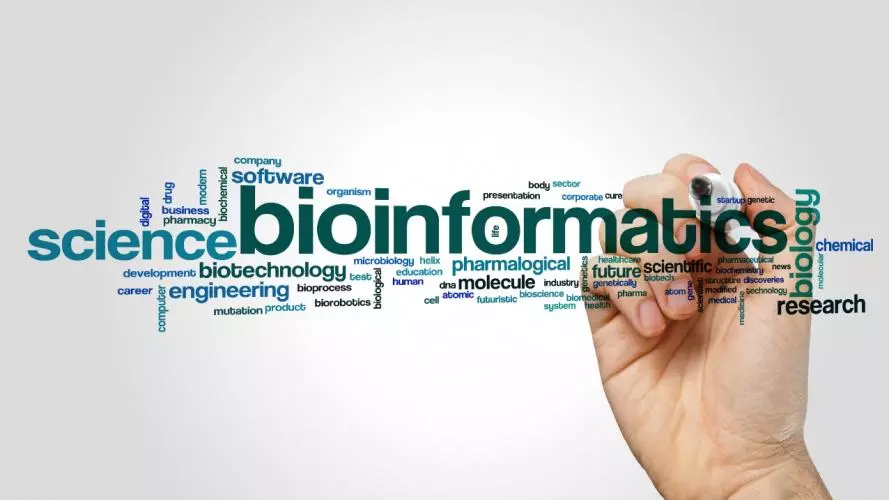 Bioinformatics