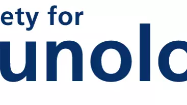 BSI logo