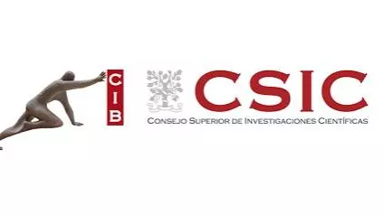 CSIC logo