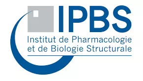 IPBS logo