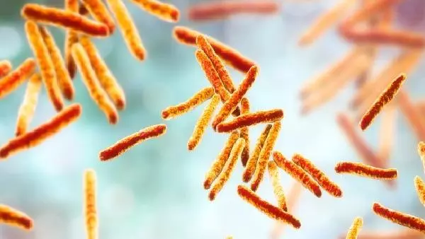 mycobacterium tuberculosis