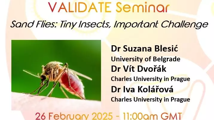 Sand Flies: Tiny Insects, Important Challenge