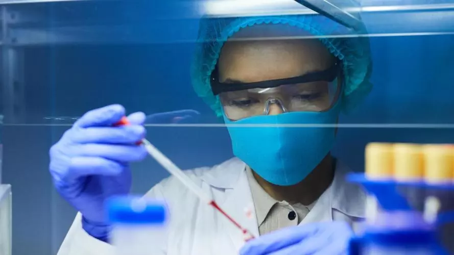 Scientist at work in the lab