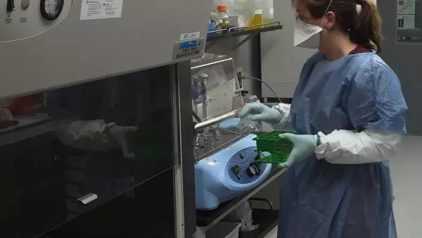 Assoc Prof Burtnick - BSL 3 Lab