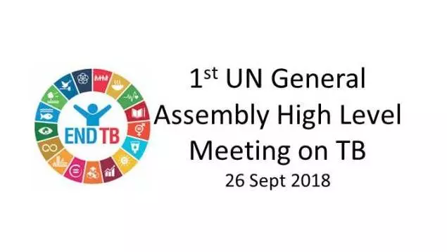1st UN General Assembly High Level Meeting on tuberculosis