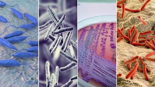 VALIDATE Pathogens