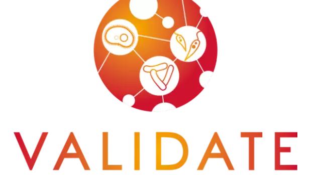 VALIDATE logo