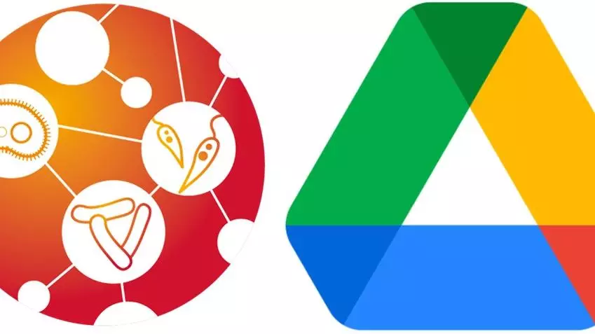 validate google drive