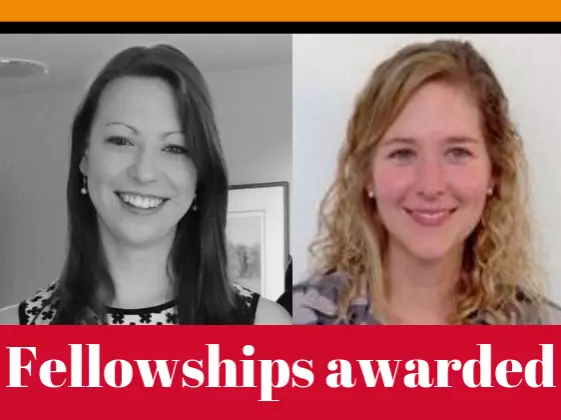 fellowships awarded