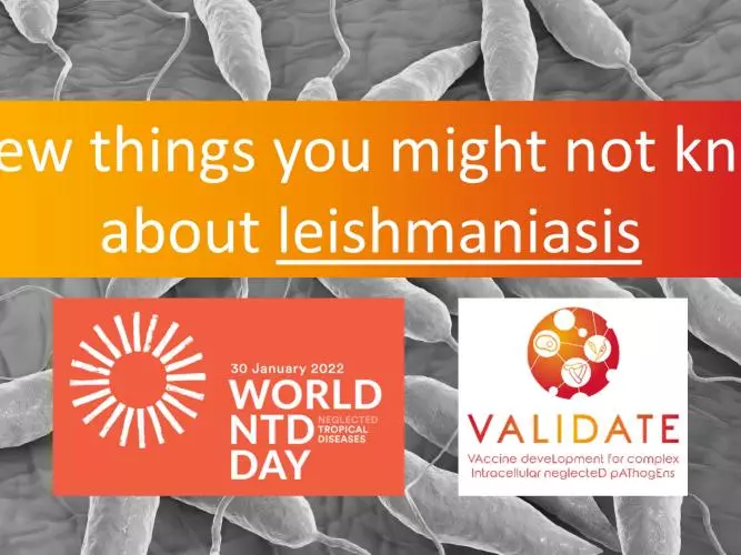 Leishmaniasis Video
