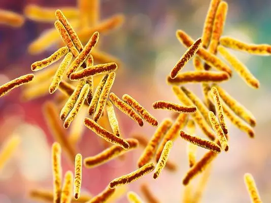 Mycobacterium tuberculosis