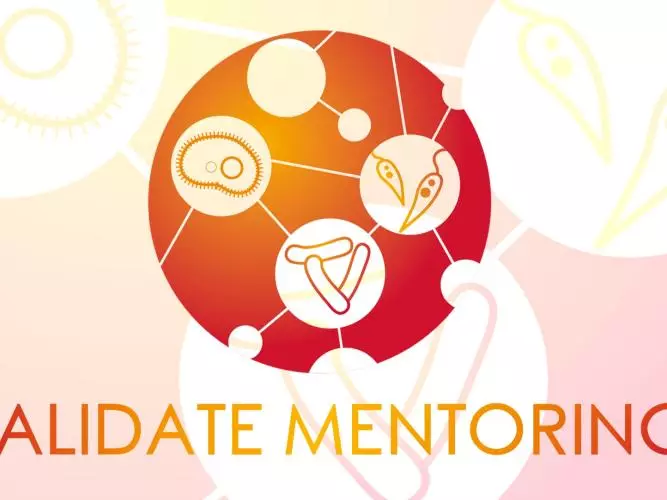 VALIDATE Mentoring