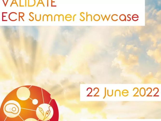 ecr summer showcase