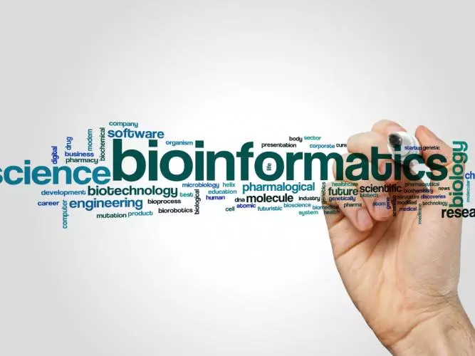 Bioinformatics