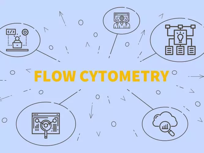 Flow Cytometry