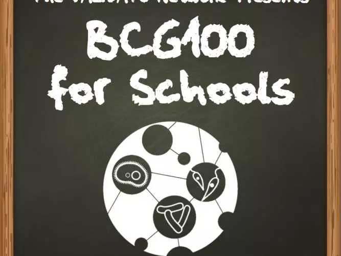 bcg100 for schools square