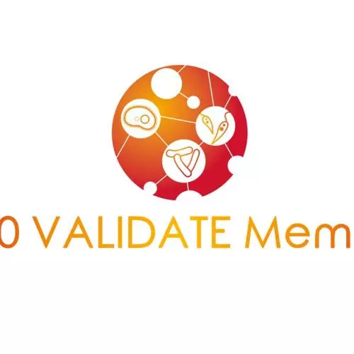 1000 members news feed