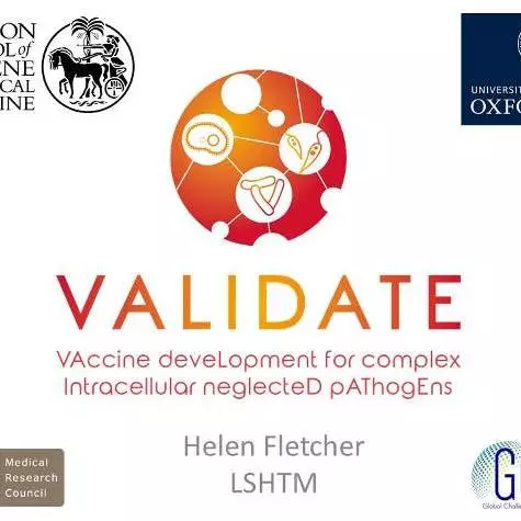 Helen Fletcher presents VALIDATE at the BactiVac annual meeting