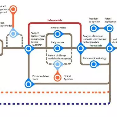 MRC Vaccine Discovery Routemap