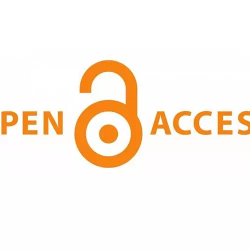 Open Access Fund