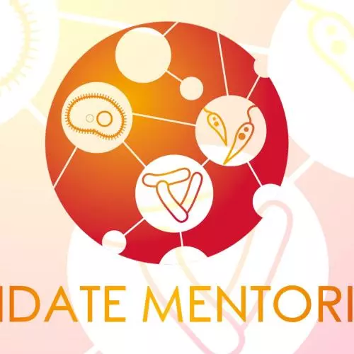 VALIDATE Mentoring