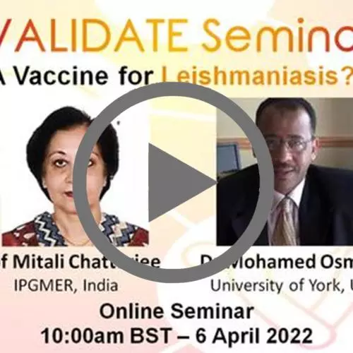 a vaccine for leishmaniasis  watch now