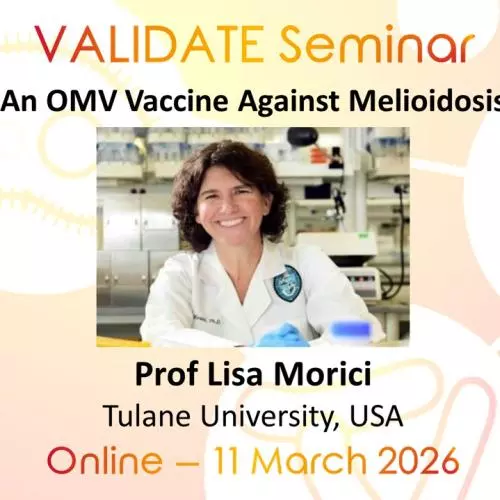 An OMV Vaccine Against Melioidosis