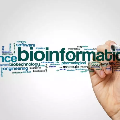 Bioinformatics