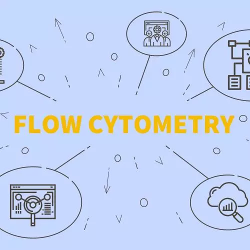 Flow Cytometry