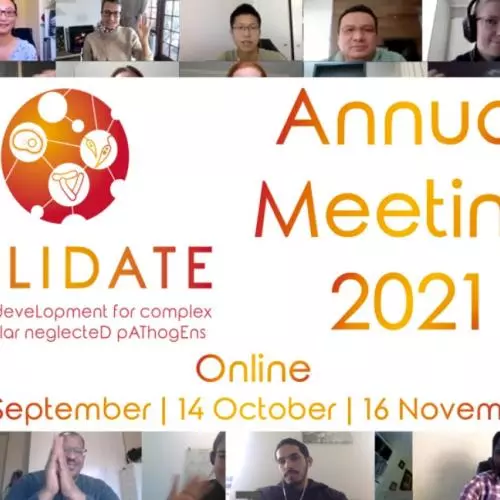 Annual Meeting 2021