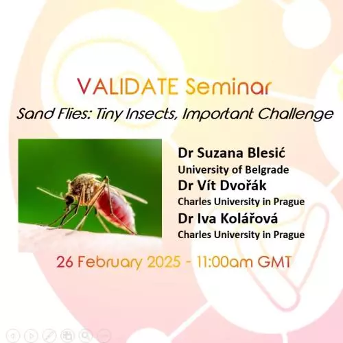 Sand Flies: Tiny Insects, Important Challenge