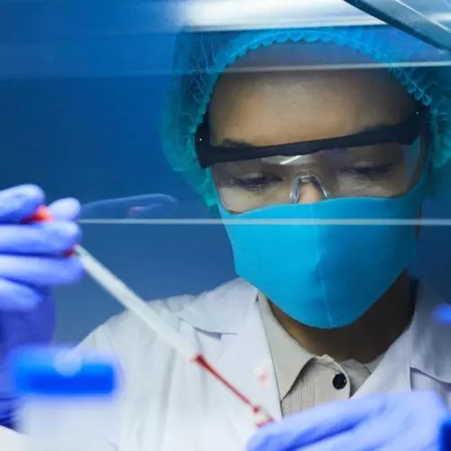 Scientist at work in the lab