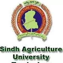 Sindh Agriculture University Tando Jam logo