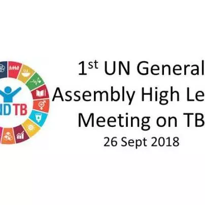 1st UN General Assembly High Level Meeting on tuberculosis