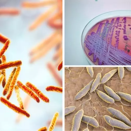 VALIDATE Focus Pathogens: Mycobacteria, Leishmania, Burkholderia