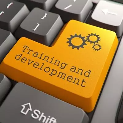 Training and development
