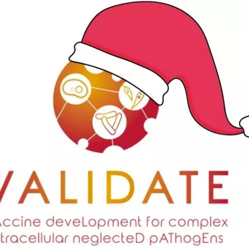 validate christmas