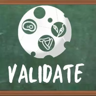 VALIDATE for Schools