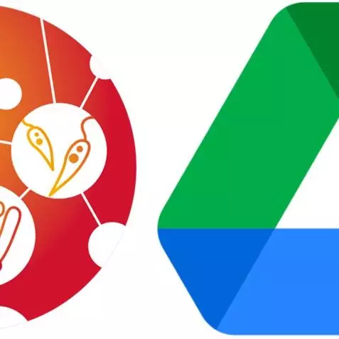 validate google drive