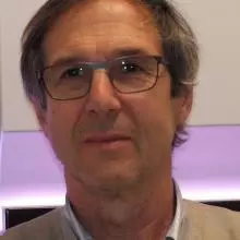 Martino Bolognesi