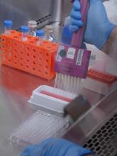 Pipetting (credit: CDC)