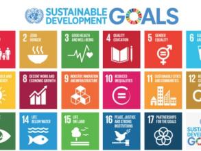 UN Sustainable Development Goals