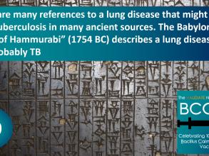 bcg100 fact infographic