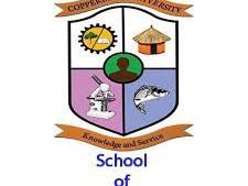 Copperbelt University