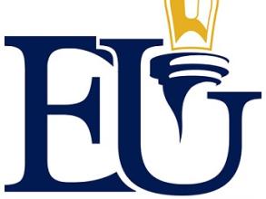 Elizade University logo