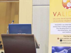 VALIDATE Annual Meeting Research Talks